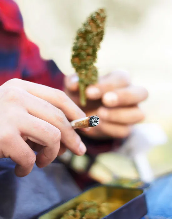 Marijuana Addiction